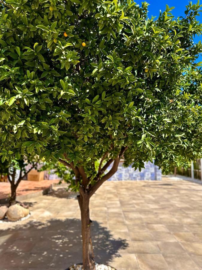 فيلا Libelle Andalusian Hideaway C غرناطة المظهر الخارجي الصورة