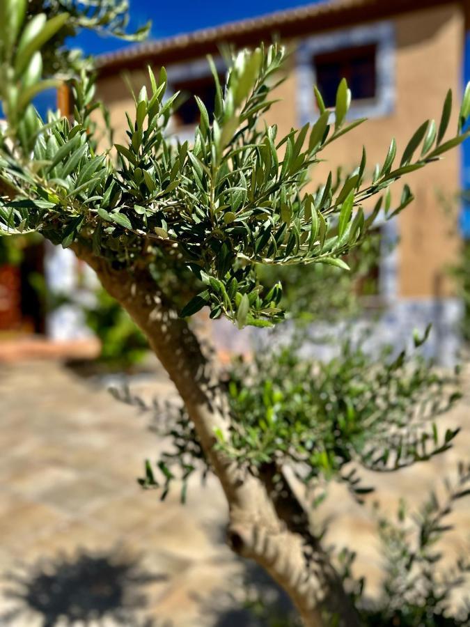 فيلا Libelle Andalusian Hideaway C غرناطة المظهر الخارجي الصورة